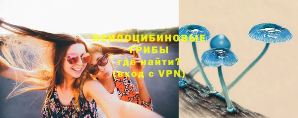 apvp Володарск