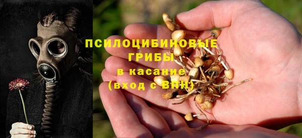 ешки Волосово