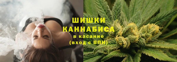 apvp Володарск